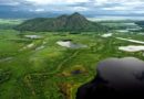 Pantanal Is Its Own World Within The Planet