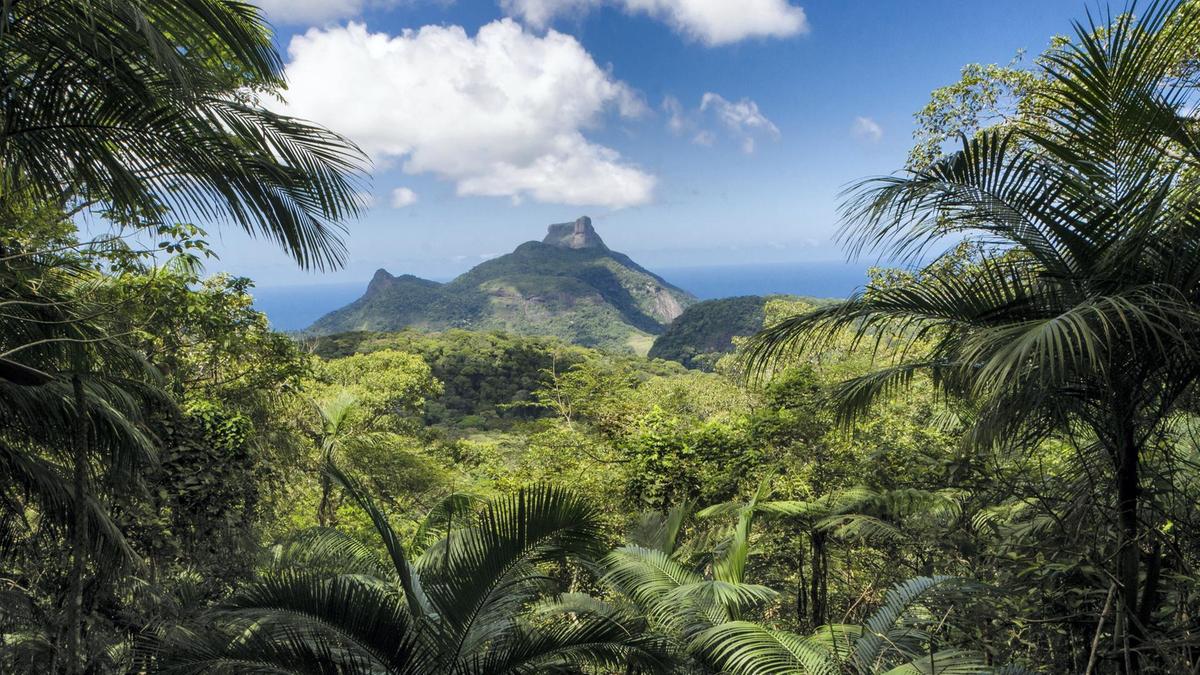 What Are Some Recreational Activities In Brazil